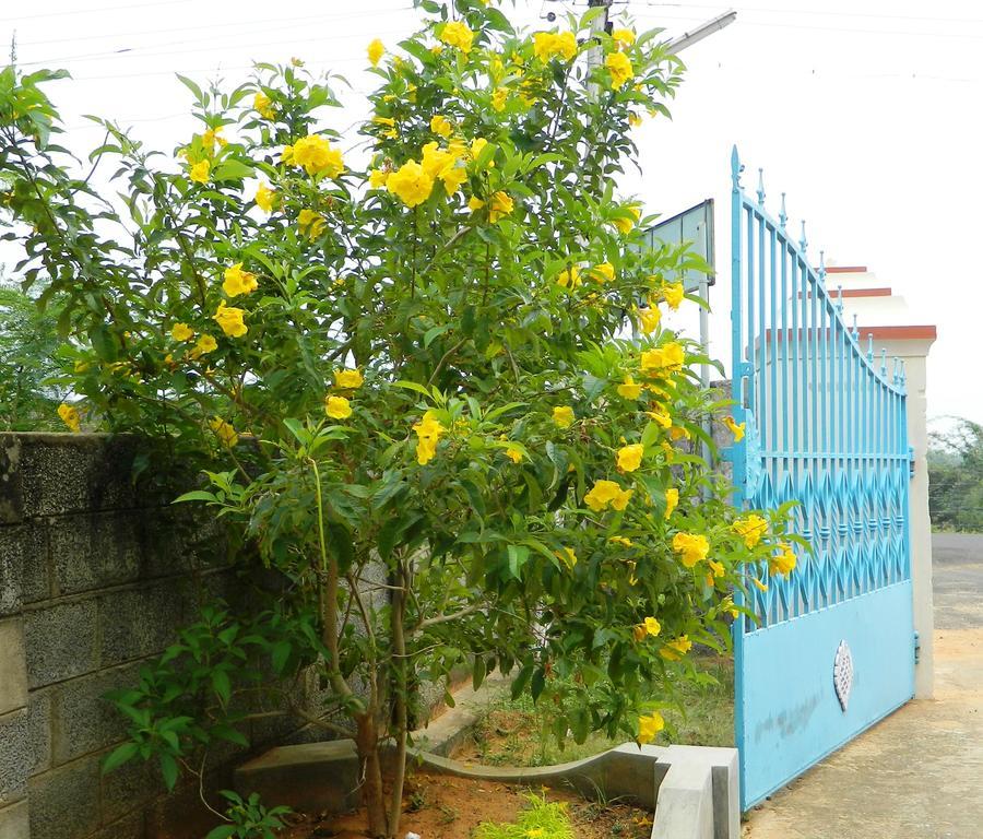 Stella Maris B&B Kanyakumari Exterior foto